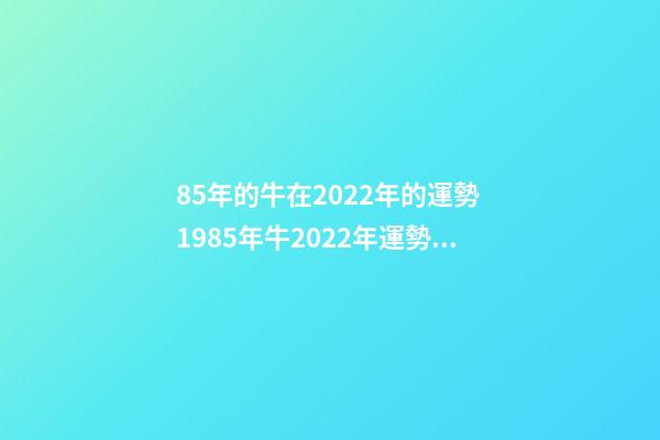 85年的牛在2022年的運勢 1985年牛2022年運勢如何 財運職場大幅度改善-第1張-觀點-玄機派